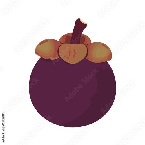 Vibrant Mangosteen Illustration: Deep Purple Fruit with Brown Sepals.
