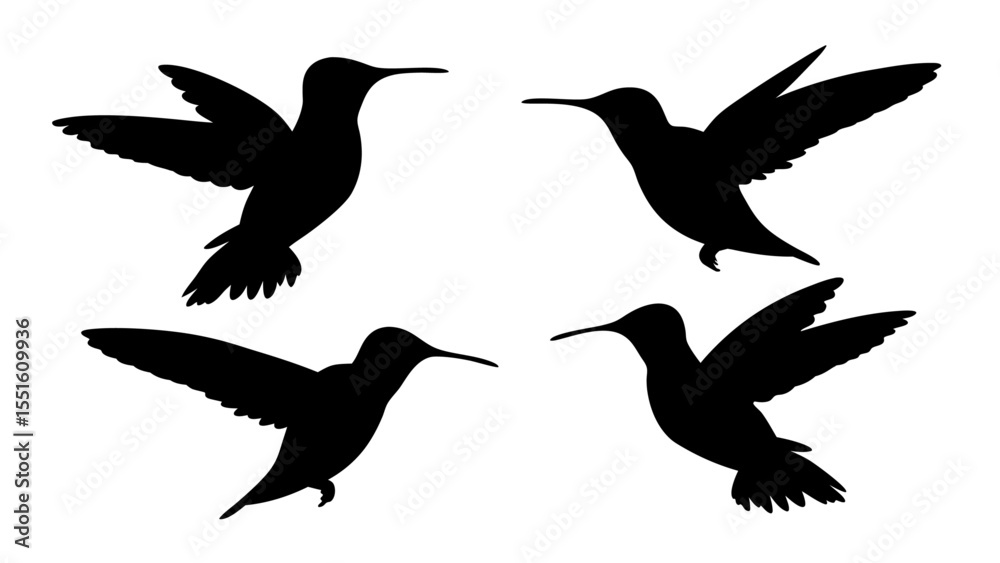Obraz premium humming bird silhouette vector illustration on tranparent background