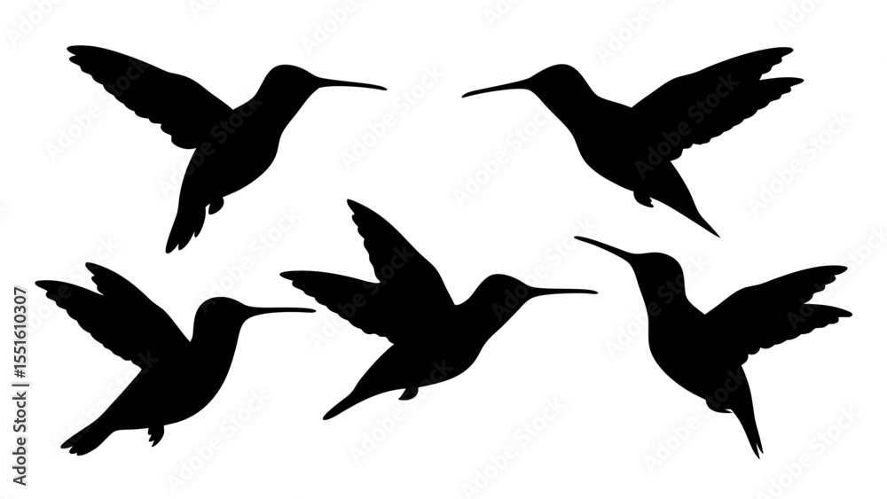 Fototapeta premium humming bird silhouette vector illustration on tranparent background