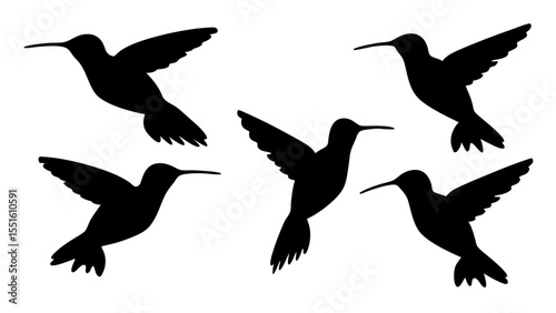 humming bird silhouette vector illustration on tranparent background