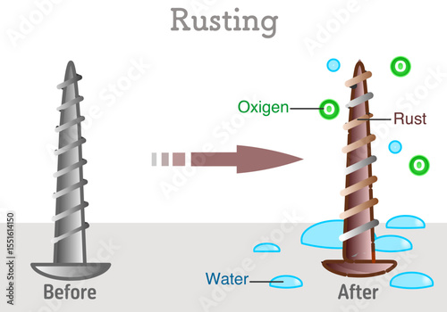 Rusting occurs when iron is exposed to oxygen and water. Iron reacts with the oxygen and water to produce rust or hydrated iron oxide. Metal degradation. Vector illustration