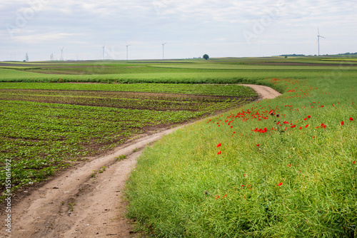 Dusty farm road winds through verdant fields, whispers of natures tapestry during Lammas, with poppies nodding like silent sentinels