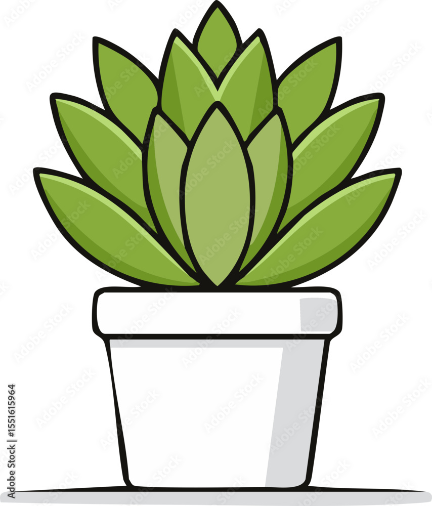 Plante verte minimaliste en pot décoratif