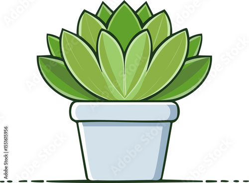 Plante succulente aux feuilles arrondies dans un pot