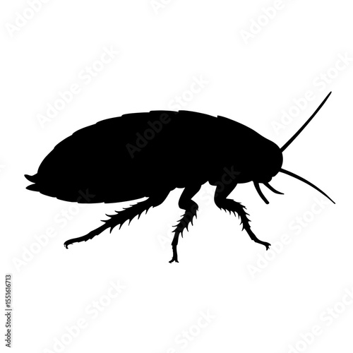 Silhouette of Madagascar Hissing Cockroach with Detailed Legs and Antennae