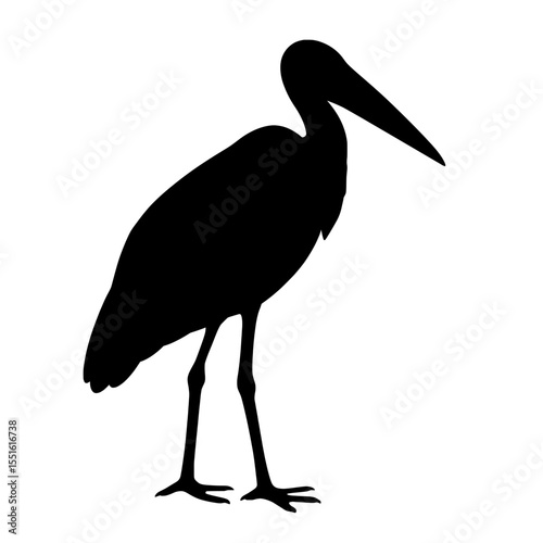 Silhouetted Marabou Stork Standing Tall Against a White Background