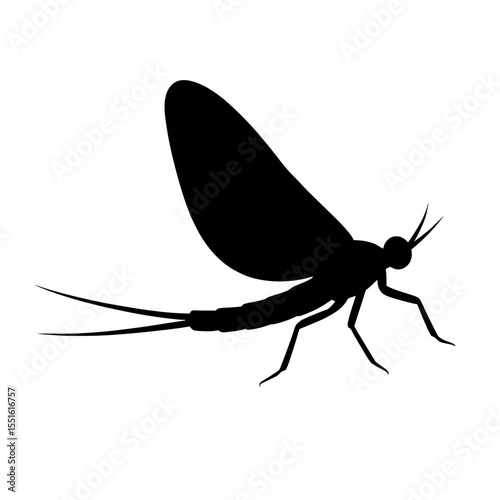 Silhouette of a Graceful Mayfly with Delicate Wings Against White Background