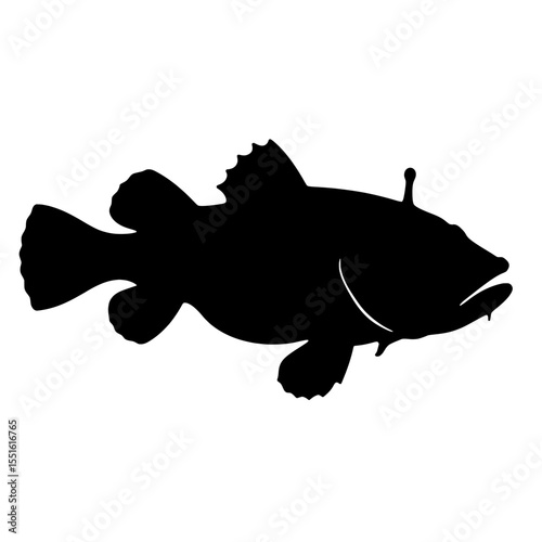 Monkfish Silhouette with Distinctive Angler Light and Finned Outline