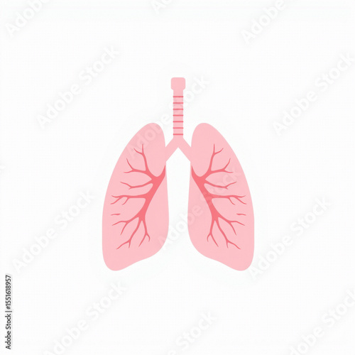 Human Lungs Flat Icon