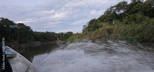 
sailing by boat on the Miranda River in the Pantanal, Mato Grosso do Sul, Brazil, city of Miranda, Miranda River, nature, outdoors