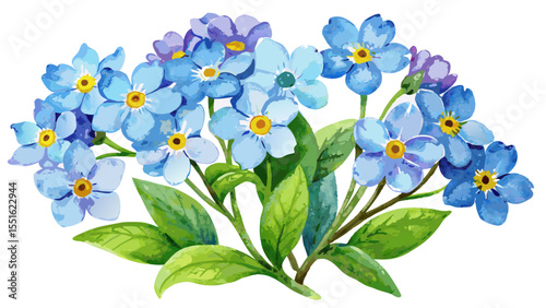 Hand-painted watercolor forget-me-nots with fresh green leaves rest quietly on a white background. Their organic beauty and harmonious colors speak of simplicity, elegance, and the poetry of botanical