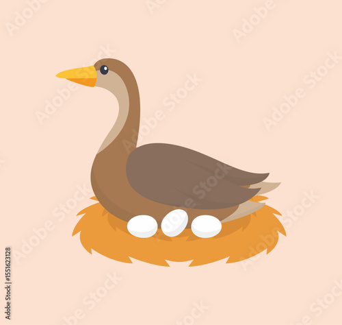 Cute cartoon duck with egg isolated on nest in vector illustration with flat style