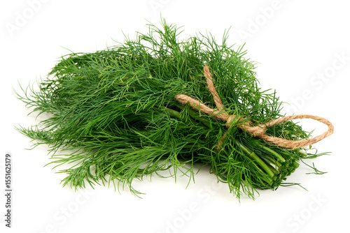 Fototapeta Naklejka Na Ścianę i Meble -  Fresh Dill Bundle, Anethum graveolens, isolated on white background