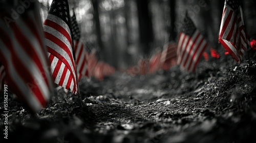Memorial path lined with flags during an autumn afternoon in a serene woodland setting