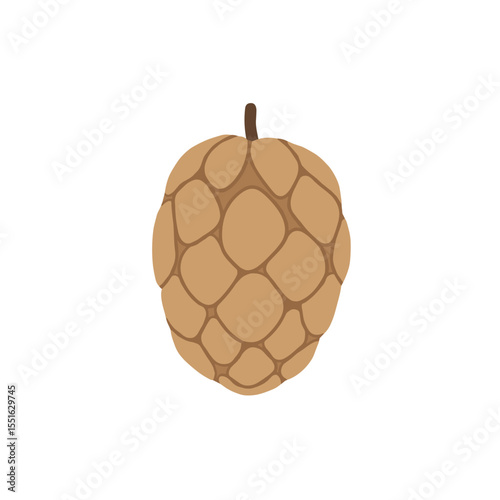 Stylized custard apple illustration with segmented skin and short stem.