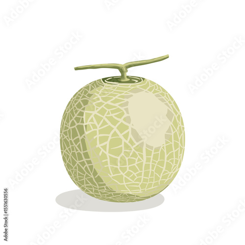 Stylized Honeydew Melon with Stem Textured Skin and Soft Green Hues.