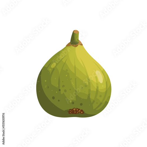 Single Green Fig with Detailed Skin Texture and Stem.