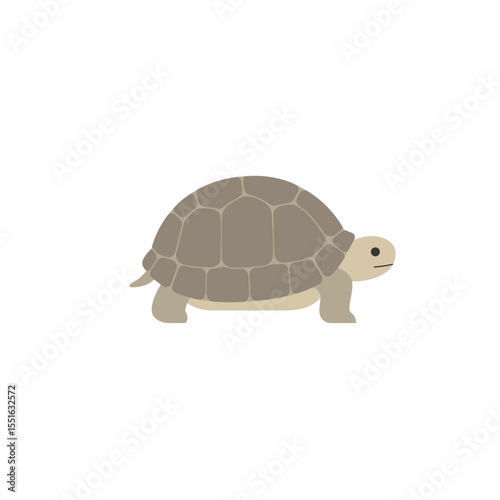 Simple Illustration of a Turtle in Profile View.