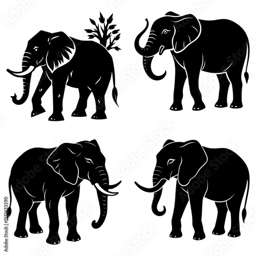 Four elephants stand isolated on white background in silhouette