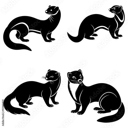 Four ferret silhouettes isolated on white background in various poses