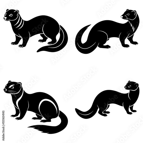 Four ferret silhouettes isolated on white background in various stances