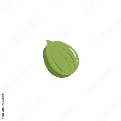 Simple Green Cardamom Pod with Glossy Highlights and Subtle Shadows.
