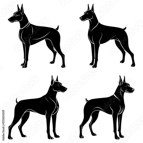 Four black doberman silhouettes stand isolated on white background art