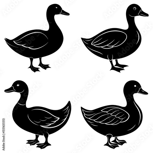 Four duck silhouettes isolated on white background in simple style