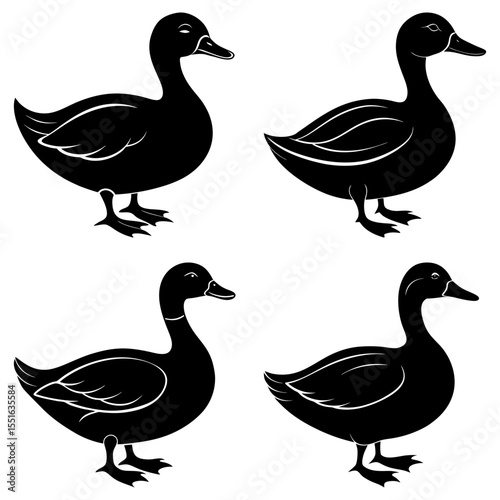 Four duck silhouettes isolated on white background in simple style