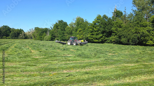 A tractor is cutting grass in a spacious field during bright sunny weather. Towering trees and power lines outline the natural setting, showcasing rural life's tranquility.