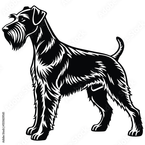 Elegant Black and White Schnauzer Illustration A Striking Depiction of Breed Standard and Graceful Canine Form A Detailed Artistic Representation