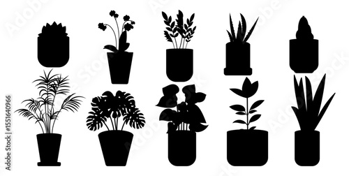 Silhouette house plants in pot set. Flower pots. Succulents, cacti, monstera, palm, anthurium, sansevieria, orchid, aloe vera and ficus. Vector illustration.