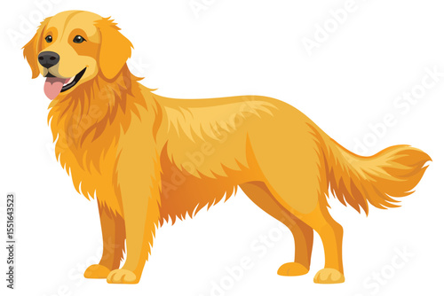 Golden Retriever Illustration Depicting Canine Breed with Distinctive Golden Coat Gentle Expression and Anatomical Accuracy Showcasing Breed Characteristics