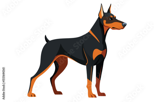 Vigilant Doberman Pinscher Portrayed with Sleek Black and Tan Markings Standing Firmly in an Animated Illustration