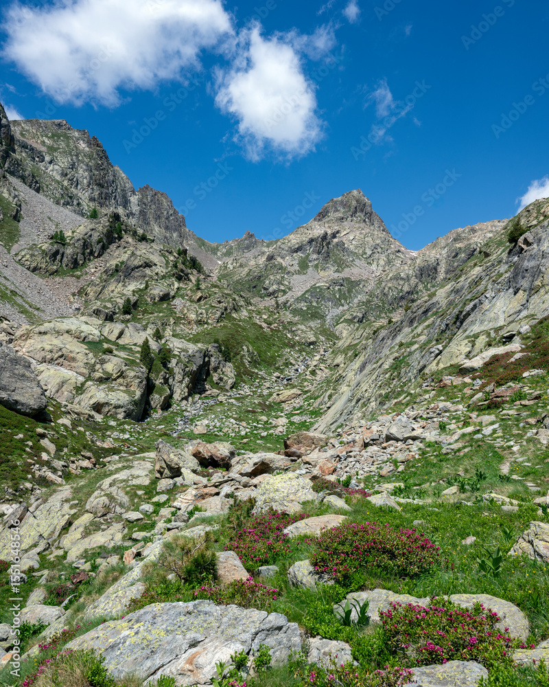 Fototapeta premium Paysage de haute montagne dans le massif du Mercantour dans la vallée du Boréon