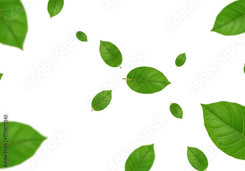 Green leaves scattered isolated on white background in pattern