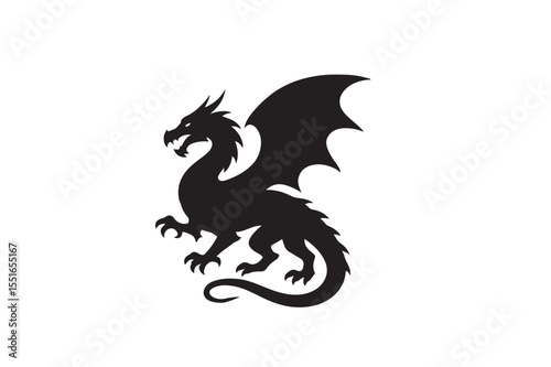 Mandala Dragon silhouette on white background.01