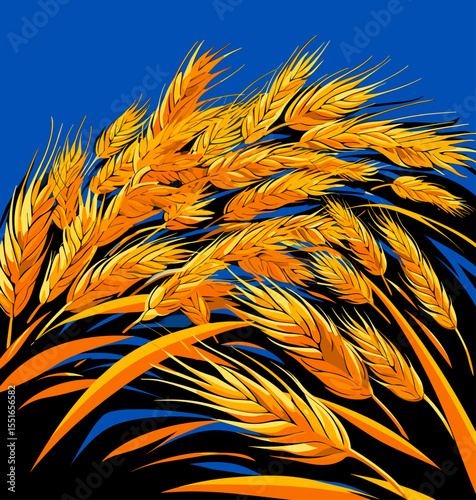 Wheat ears on wheat field in vector art style.