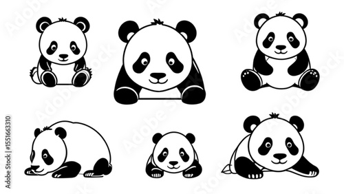 赤ちゃんパンダのかわいいポーズ集｜Cute Baby Panda Pose Collection