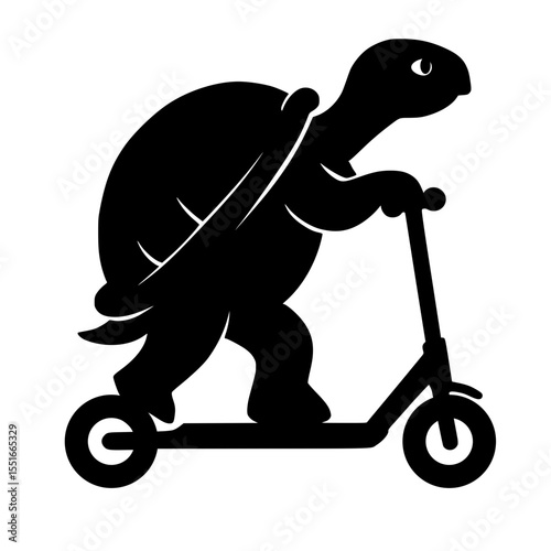 Turtle on a scooter