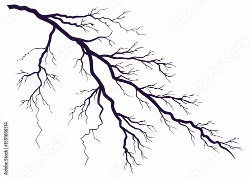 Detailed silhouette of a bare tree branch with intricate twigs and branches vector illustration