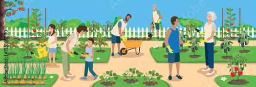 A large family is engaged in gardening in their vegetable garden. An elderly couple, their children and grandchildren grow fruits, vegetables and berries in their vegetable garden. Vector illustration