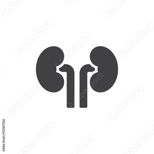 Kidneys solid glyph vector icon