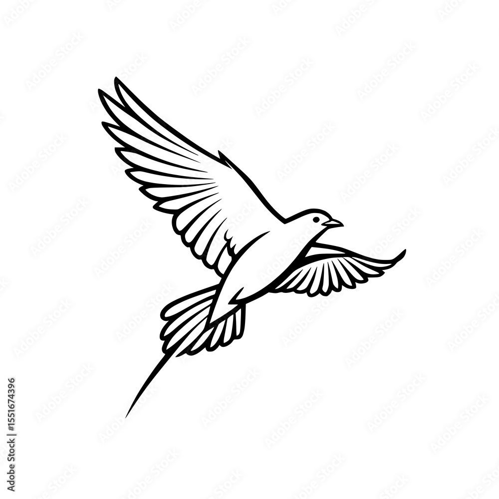 Fototapeta premium Detailed Flying Bird