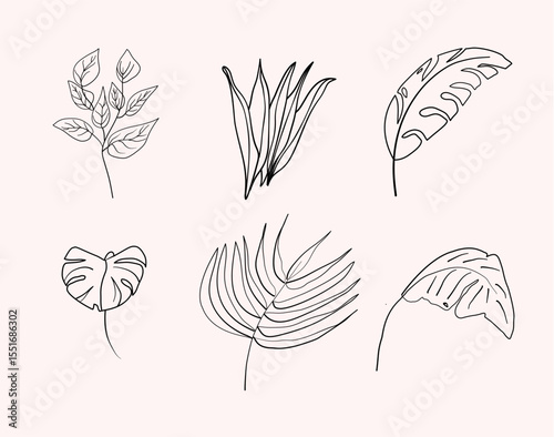 Set of Line Leaves Tropis, Summer