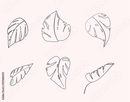 Set of Line Leaves Tropis, Summer