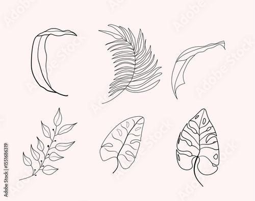 Set of Line Leaves Tropis, Summer