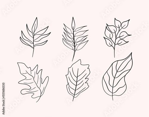 Set of Line Leaves Tropis, Summer