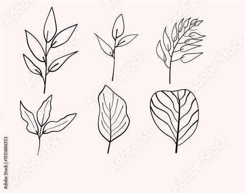 Set of Line Leaves Tropis, Summer