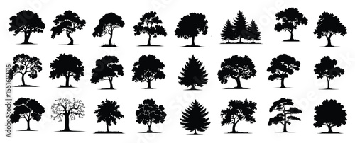 collection set different kind trees icons symbol silhouette vector design